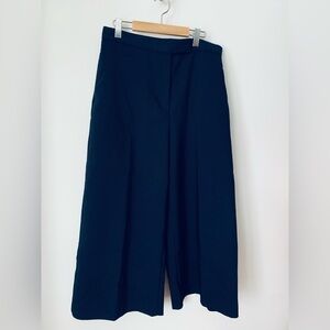 Zara Dark Blue Trousers